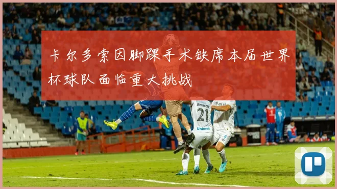 卡尔多索因脚踝手术缺席本届世界杯球队面临重大挑战