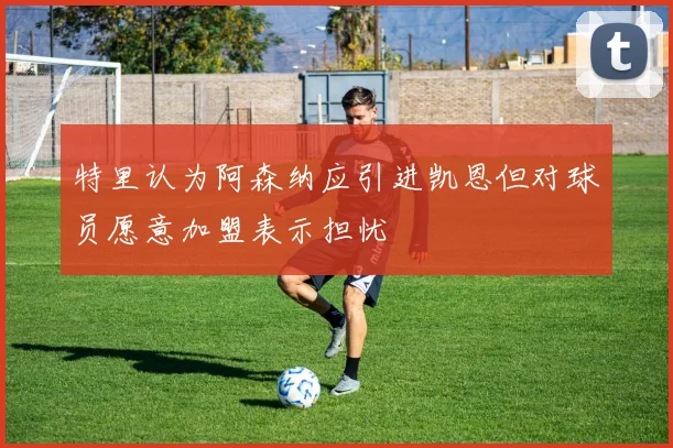 特里认为阿森纳应引进凯恩但对球员愿意加盟表示担忧